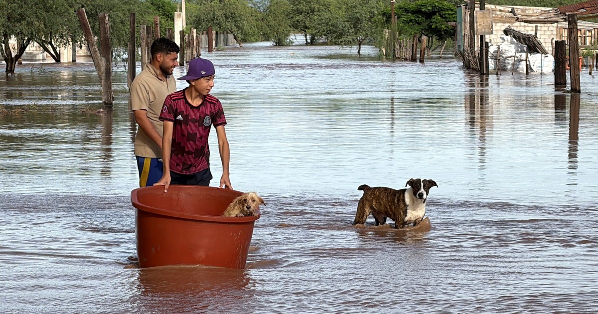 Súper Niño 2026: el clima que viene y cómo prepararse en Argentina