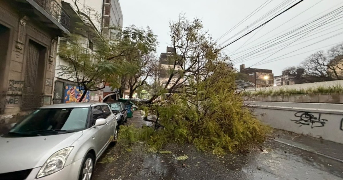 Temporal en Rosario: 77 mm de lluvia, granizo, árboles caídos y 200 reclamos