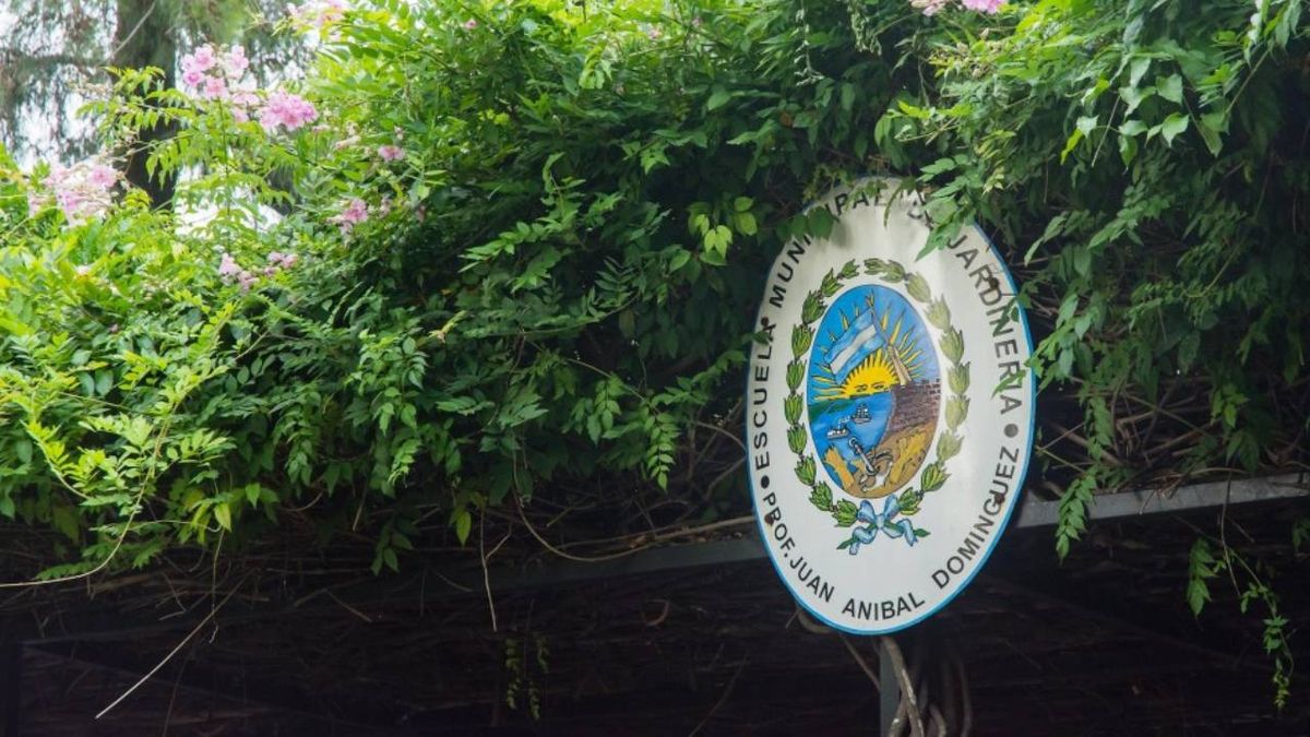 Rosario: la polemica por el ataque libertario a empleados con discapacidad