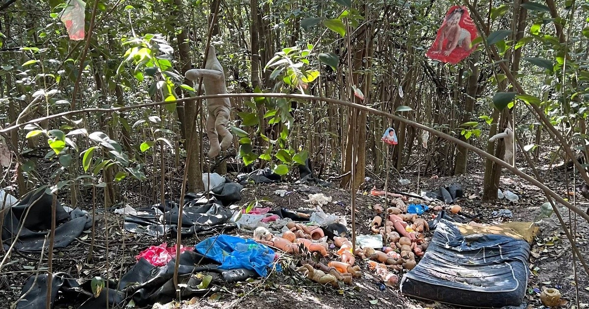 Hallazgo perturbador en la reserva de Villa Gobernador Gálvez: muñecos, imágenes de niños y guantes de látex