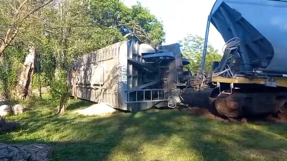 Tren de Belgrano Cargas descarriló y volcó cuatro vagones en Santa Fe