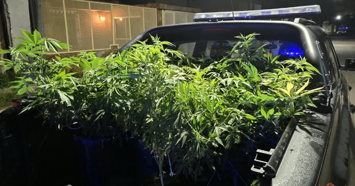 Policía y pareja detenidos en Rosario con armas y marihuana