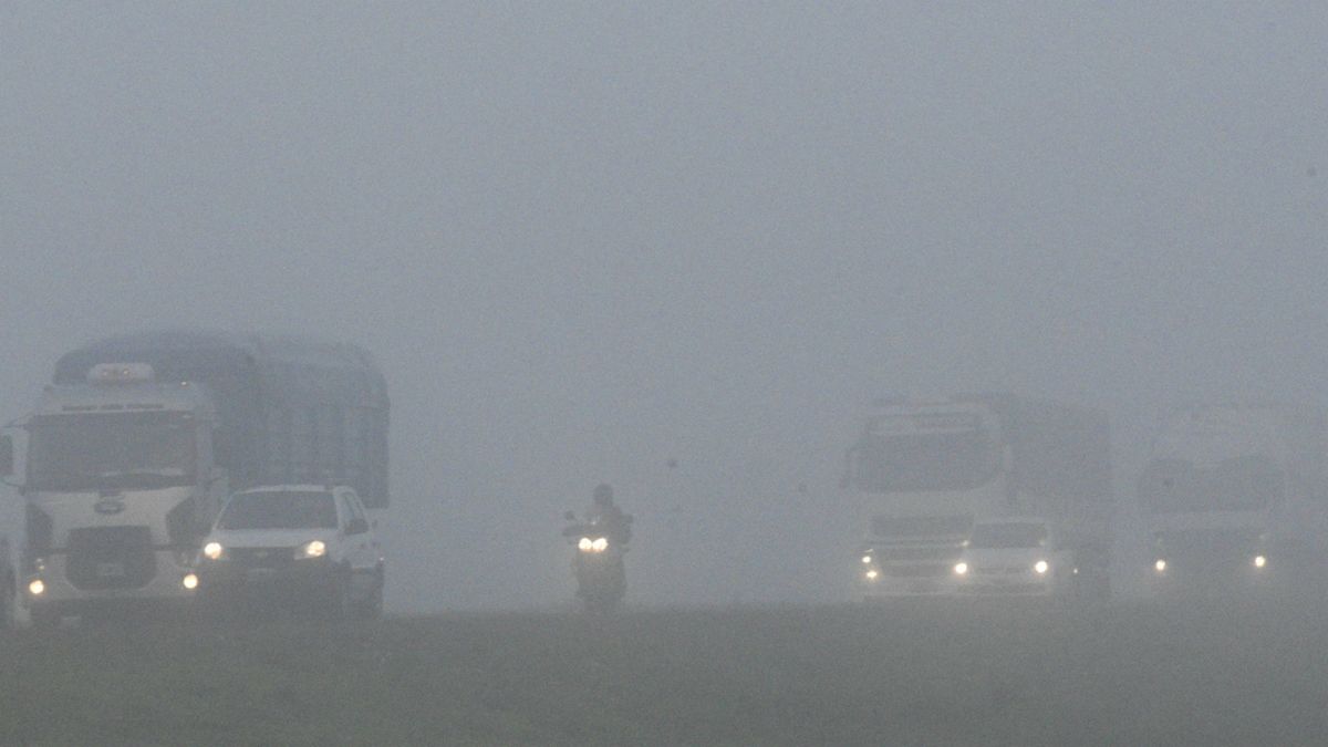 Alerta vial en Rosario: niebla densa redujo la visibilidad a solo 300 metros