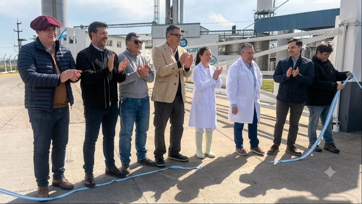 Renace la fábrica de quesos Sudamericana Lácteos en Díaz, Santa Fe